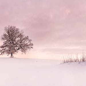 Roland Seichter Fotografie - Minimalistische Fotografie