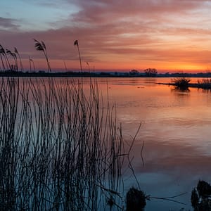 Einzigartige Wandbilder - Wasser fotografiert