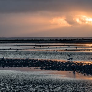 Einzigartige Wandbilder - Wasser fotografiert